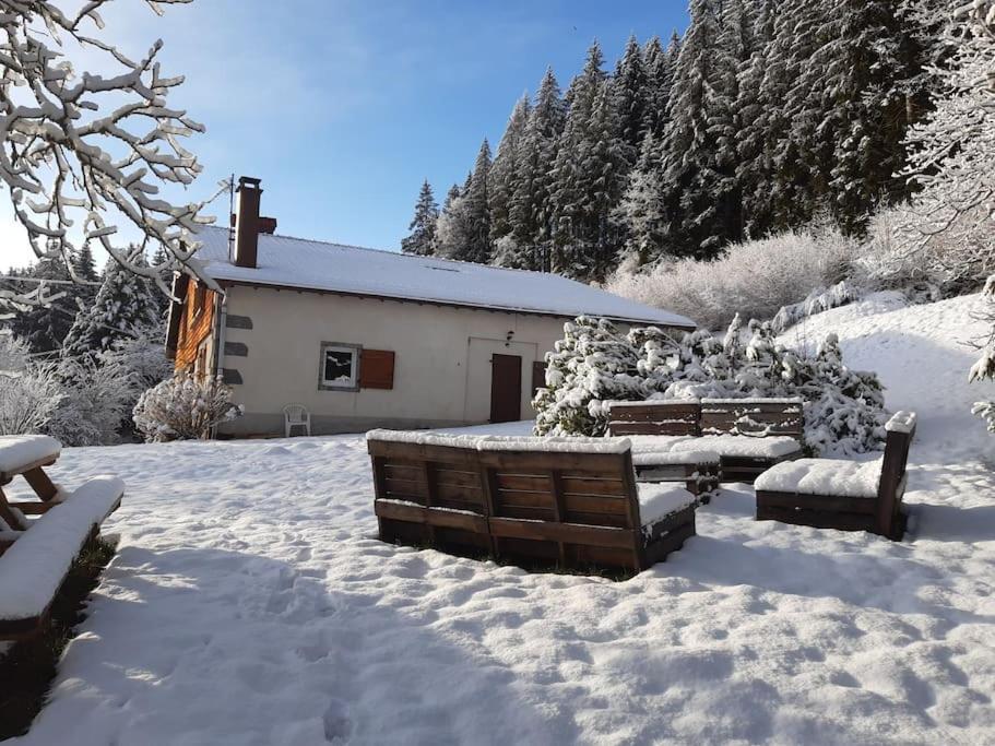 Ferme De Chenezeau - 15 Personnes , 7 Chambres Gerardmer Exterior photo